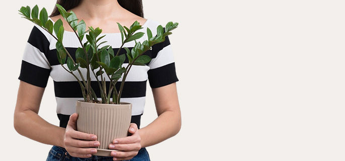 10 x Barrière protectrice - Taille M