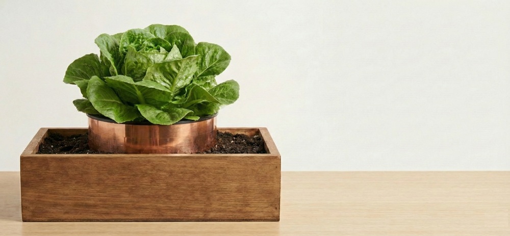 10 x Barrière protectrice - Taille L