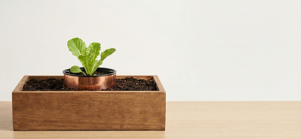 5 x Barrière protectrice - Taille M